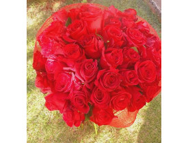 Buquê 36 rosas vermelhas