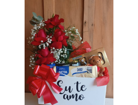 Caixa rosas, chocolate e mini pelucia